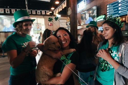 citybev-stpaddy2019 0214