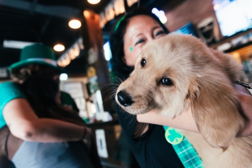 citybev-stpaddy2019 0218